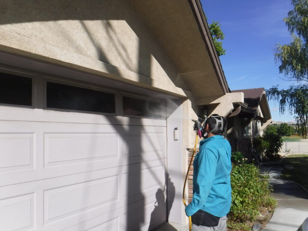 Expert doing pest control in Reno Home