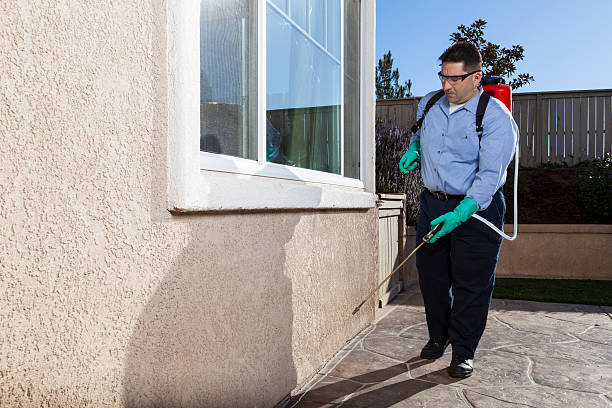 Man treating house for pest control. Professional exterminator.