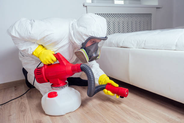 Bed Bug Control in Reno