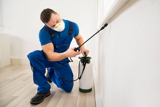 Professional Pest Control in Reno